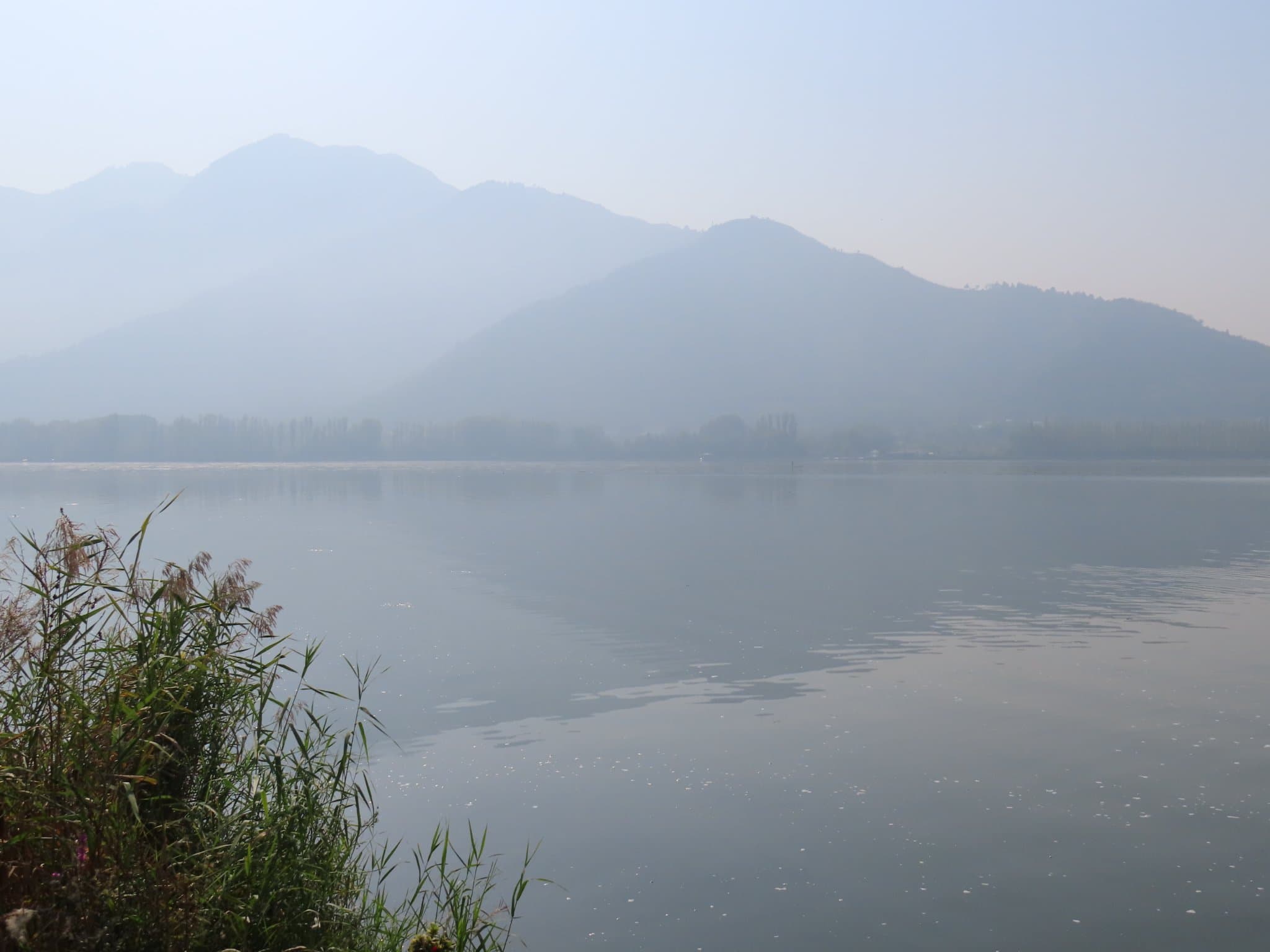 Photo from India